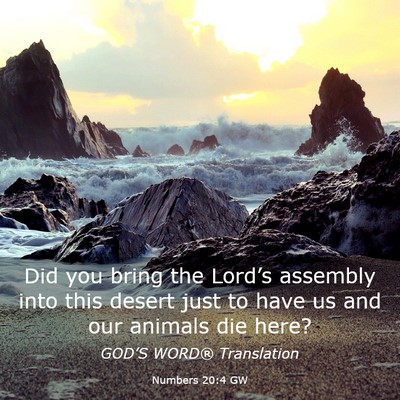 Picture 03 - Numbers 20:4 GW - Did you bring the Lord’s assembly into this - Bible Verse Picture