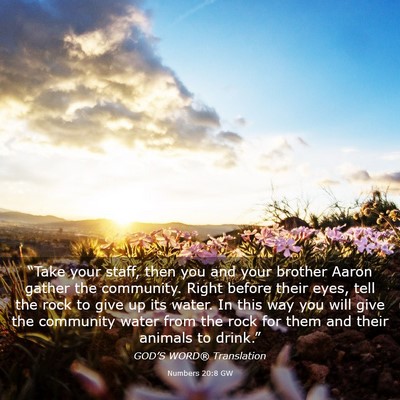 Picture 03 - Numbers 20:8 GW - “Take your staff, then you and your brother - Bible Verse Picture