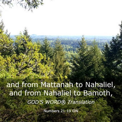 Picture 03 - Numbers 21:19 GW - and from Mattanah to Nahaliel, and from Nahaliel - Bible Verse Picture