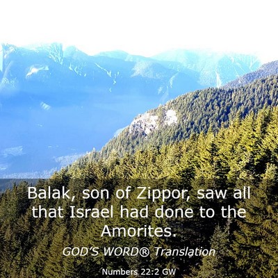 Picture 03 - Numbers 22:2 GW - Balak, son of Zippor, saw all that Israel had - Bible Verse Picture