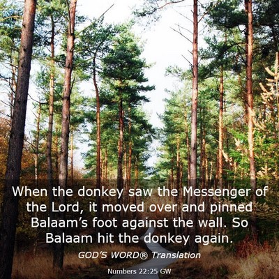 Picture 03 - Numbers 22:25 GW - When the donkey saw the Messenger of the Lord, it - Bible Verse Picture