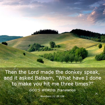 Picture 03 - Numbers 22:28 GW - Then the Lord made the donkey speak, and it asked - Bible Verse Picture