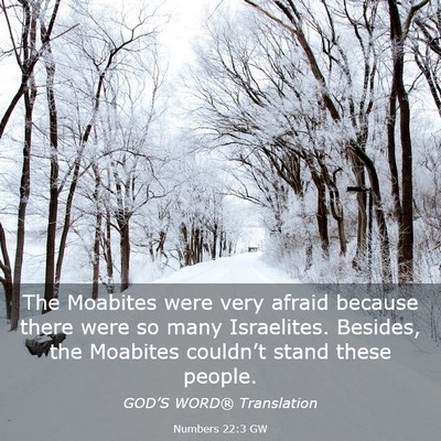 Picture 03 - Numbers 22:3 GW - The Moabites were very afraid because there were - Bible Verse Picture