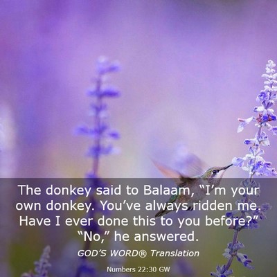 Picture 03 - Numbers 22:30 GW - The donkey said to Balaam, “I’m your own - Bible Verse Picture