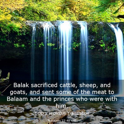 Picture 03 - Numbers 22:40 GW - Balak sacrificed cattle, sheep, and goats, and - Bible Verse Picture