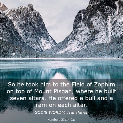 Picture 03 - Numbers 23:14 GW - So he took him to the Field of Zophim on top of - Bible Verse Picture
