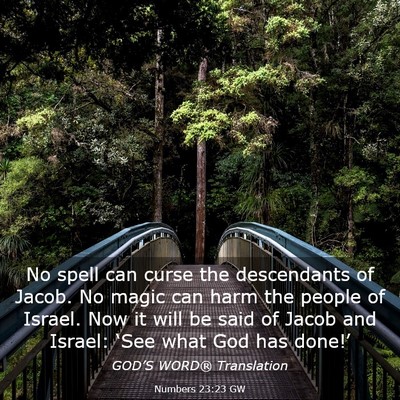 Picture 03 - Numbers 23:23 GW - No spell can curse the descendants of Jacob. No - Bible Verse Picture