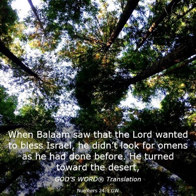 Picture 03 - Numbers 24:1 GW - When Balaam saw that the Lord wanted to bless - Bible Verse Picture