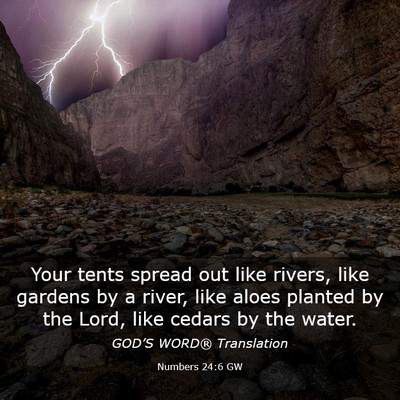 Picture 03 - Numbers 24:6 GW - Your tents spread out like rivers, like gardens - Bible Verse Picture
