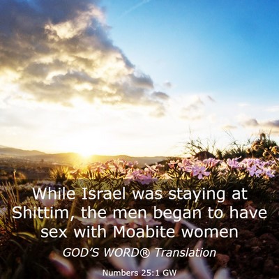 Picture 03 - Numbers 25:1 GW - While Israel was staying at Shittim, the men - Bible Verse Picture