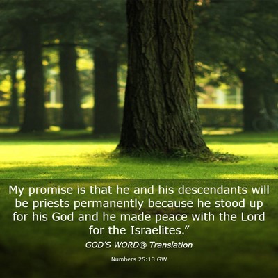 Picture 03 - Numbers 25:13 GW - My promise is that he and his descendants will be - Bible Verse Picture