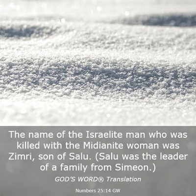 Picture 03 - Numbers 25:14 GW - The name of the Israelite man who was killed with - Bible Verse Picture
