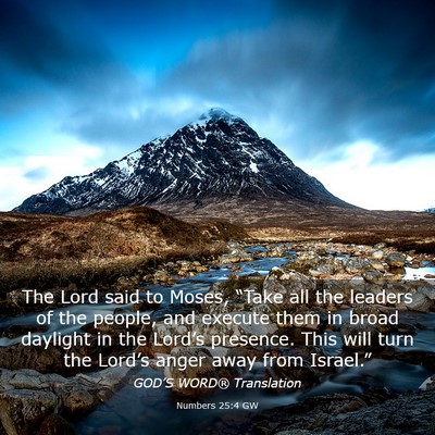Picture 03 - Numbers 25:4 GW - The Lord said to Moses, “Take all the leaders - Bible Verse Picture