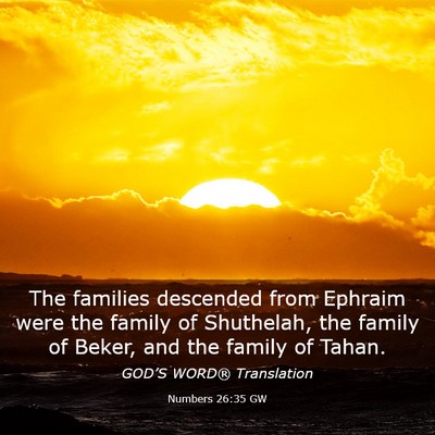 Picture 03 - Numbers 26:35 GW - The families descended from Ephraim were the - Bible Verse Picture