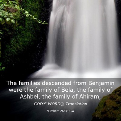 Picture 03 - Numbers 26:38 GW - The families descended from Benjamin were the - Bible Verse Picture