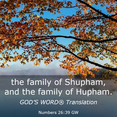 Picture 03 - Numbers 26:39 GW - the family of Shupham, and the family of - Bible Verse Picture