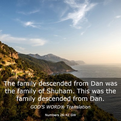 Picture 03 - Numbers 26:42 GW - The family descended from Dan was the family of - Bible Verse Picture