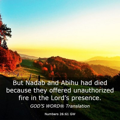 Picture 03 - Numbers 26:61 GW - But Nadab and Abihu had died because they offered - Bible Verse Picture