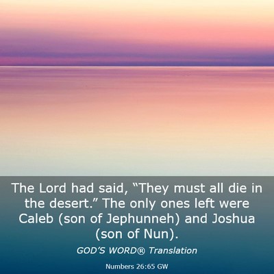Picture 03 - Numbers 26:65 GW - The Lord had said, “They must all die in the - Bible Verse Picture
