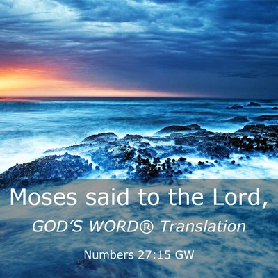 Picture 03 - Numbers 27:15 GW - Moses said to the - Bible Verse Picture