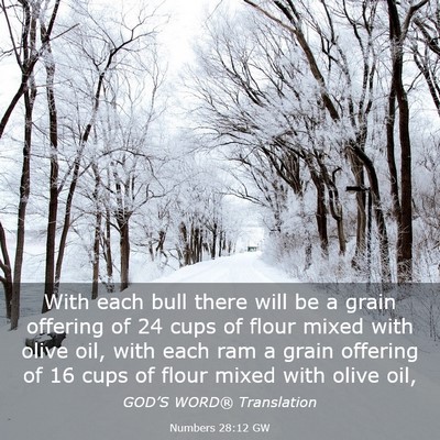 Picture 03 - Numbers 28:12 GW - With each bull there will be a grain offering of - Bible Verse Picture