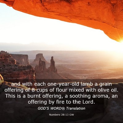 Picture 03 - Numbers 28:13 GW - and with each one-year-old lamb a grain offering - Bible Verse Picture