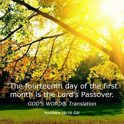 Picture 03 - Numbers 28:16 GW - “The fourteenth day of the first month is the - Bible Verse Picture