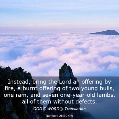 Picture 03 - Numbers 28:19 GW - Instead, bring the Lord an offering by fire, a - Bible Verse Picture