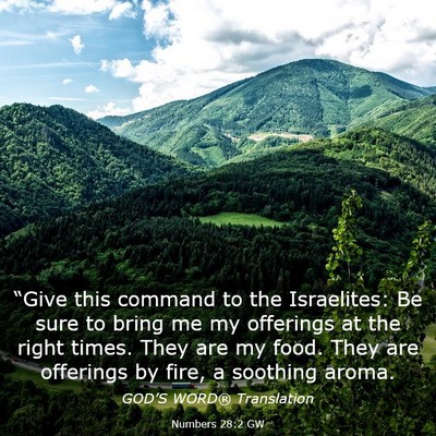Picture 03 - Numbers 28:2 GW - “Give this command to the Israelites: Be sure - Bible Verse Picture