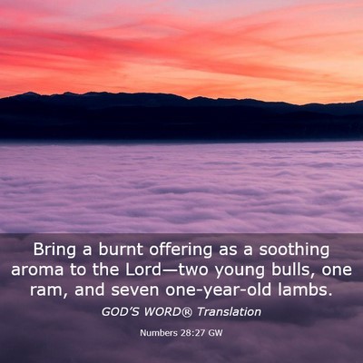 Picture 03 - Numbers 28:27 GW - Bring a burnt offering as a soothing aroma to the - Bible Verse Picture