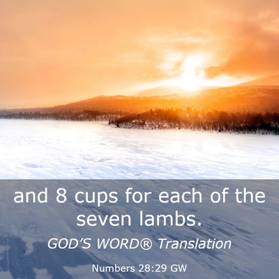 Picture 03 - Numbers 28:29 GW - and 8 cups for each of the seven - Bible Verse Picture