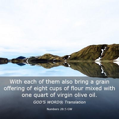 Picture 03 - Numbers 28:5 GW - With each of them also bring a grain offering of - Bible Verse Picture