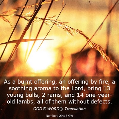 Picture 03 - Numbers 29:13 GW - As a burnt offering, an offering by fire, a - Bible Verse Picture