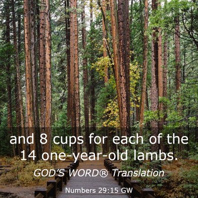 Picture 03 - Numbers 29:15 GW - and 8 cups for each of the 14 one-year-old - Bible Verse Picture