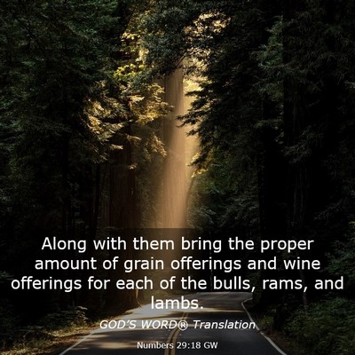 Picture 03 - Numbers 29:18 GW - Along with them bring the proper amount of grain - Bible Verse Picture