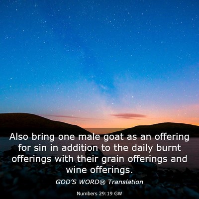 Picture 03 - Numbers 29:19 GW - Also bring one male goat as an offering for sin - Bible Verse Picture