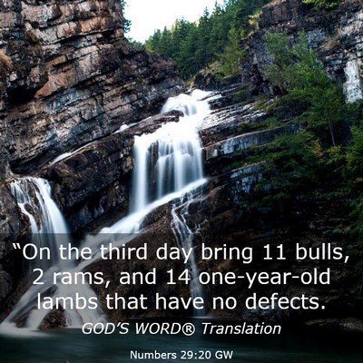 Picture 03 - Numbers 29:20 GW - “On the third day bring 11 bulls, 2 rams, and - Bible Verse Picture