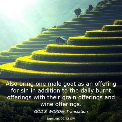 Picture 03 - Numbers 29:22 GW - Also bring one male goat as an offering for sin - Bible Verse Picture