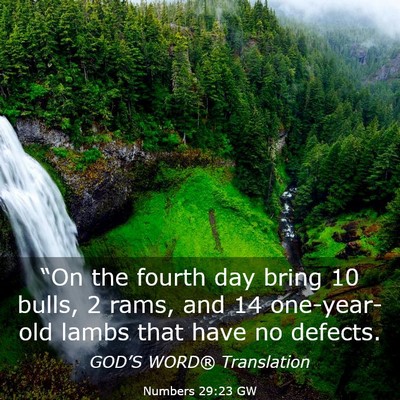 Picture 03 - Numbers 29:23 GW - “On the fourth day bring 10 bulls, 2 rams, and - Bible Verse Picture