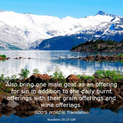 Picture 03 - Numbers 29:25 GW - Also bring one male goat as an offering for sin - Bible Verse Picture