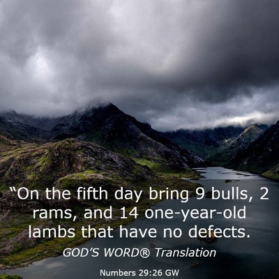 Picture 03 - Numbers 29:26 GW - “On the fifth day bring 9 bulls, 2 rams, and 14 - Bible Verse Picture