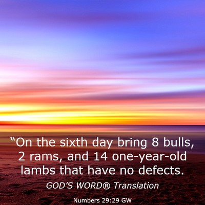 Picture 03 - Numbers 29:29 GW - “On the sixth day bring 8 bulls, 2 rams, and 14 - Bible Verse Picture