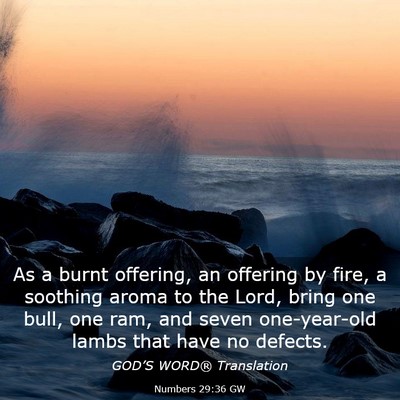 Picture 03 - Numbers 29:36 GW - As a burnt offering, an offering by fire, a - Bible Verse Picture