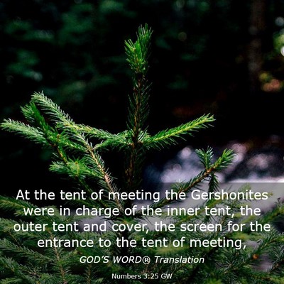 Picture 03 - Numbers 3:25 GW - At the tent of meeting the Gershonites were in - Bible Verse Picture