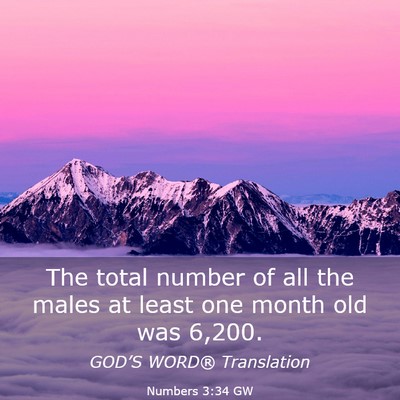 Picture 03 - Numbers 3:34 GW - The total number of all the males at least one - Bible Verse Picture