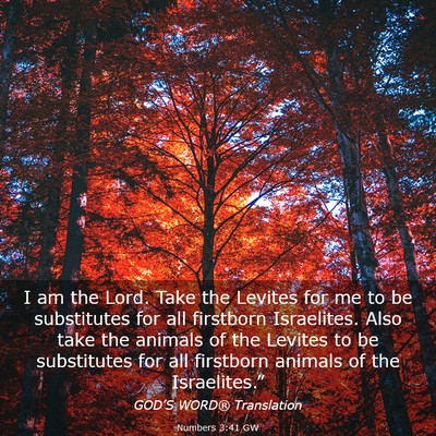 Picture 03 - Numbers 3:41 GW - I am the Lord. Take the Levites for me to be - Bible Verse Picture