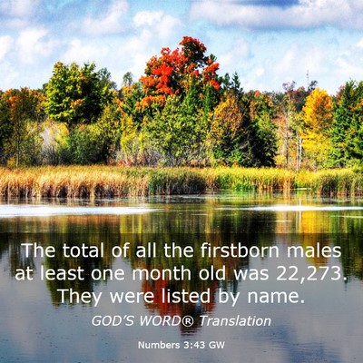 Picture 03 - Numbers 3:43 GW - The total of all the firstborn males at least one - Bible Verse Picture