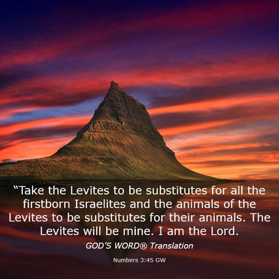 Picture 03 - Numbers 3:45 GW - “Take the Levites to be substitutes for all the - Bible Verse Picture
