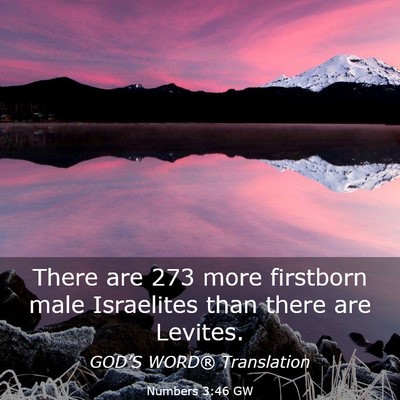 Picture 03 - Numbers 3:46 GW - There are 273 more firstborn male Israelites than - Bible Verse Picture