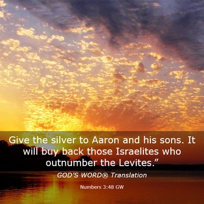 Picture 03 - Numbers 3:48 GW - Give the silver to Aaron and his sons. It will - Bible Verse Picture